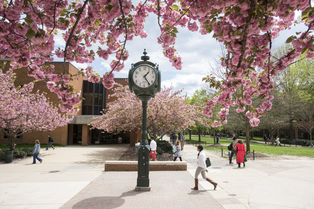 Fairfax campus in Spring